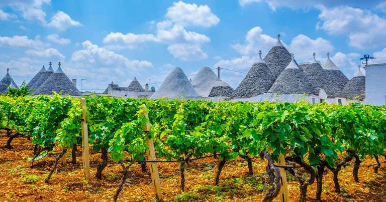 Highlights of Puglia trip - alternative tour available