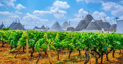 Highlights Of Puglia - April 2026