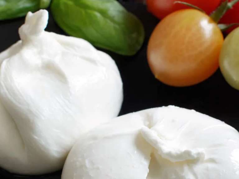 Highlights of Puglia