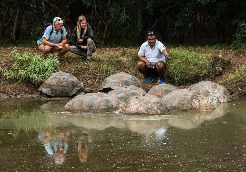 Highlights Of Quito And Galapagos Islands - Indus Travels - Ecuador - Image 6