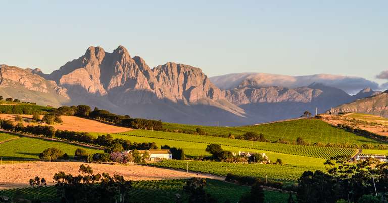 Highlights of South Africa's Winelands trip - alternative tour available