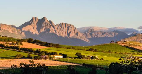 Highlights Of South Africa's Winelands - November 2026