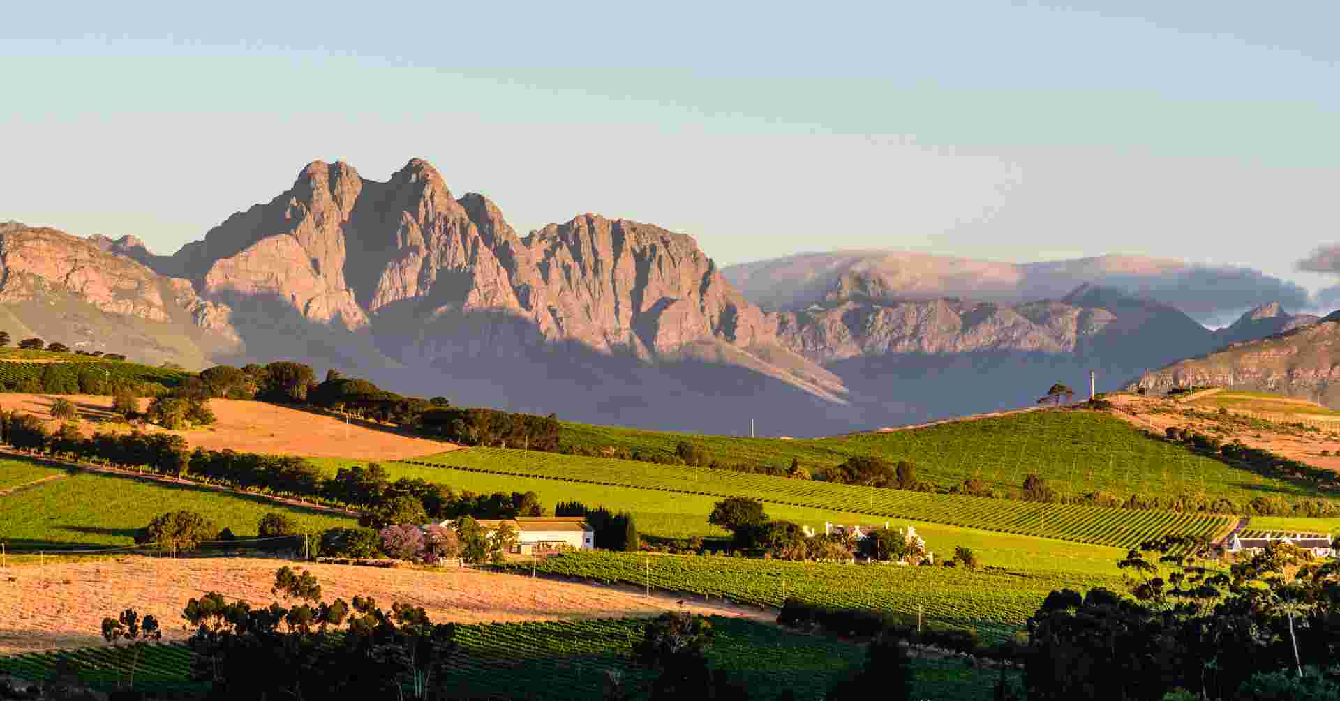 Highlights of South Africa's Winelands