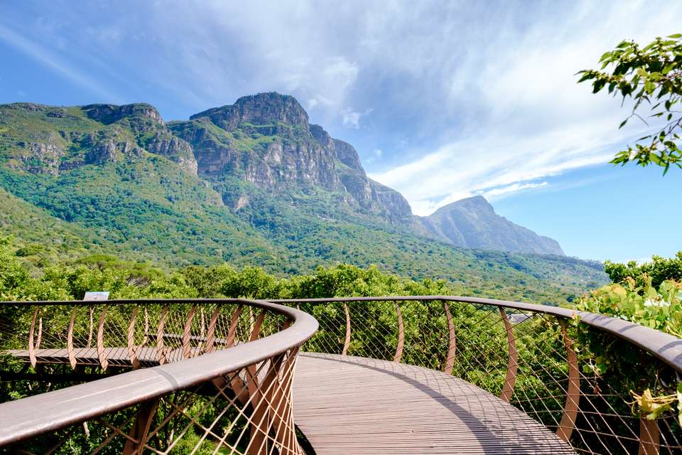 Highlights of South Africa's Winelands - undefined - Image 17