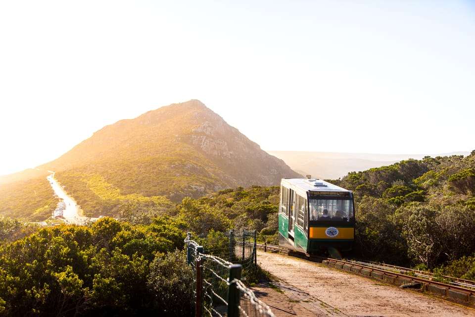 Highlights of South Africa's Winelands - undefined - Image 14