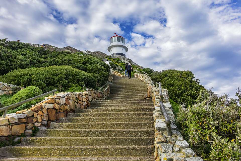 Highlights of South Africa's Winelands - undefined - Image 7