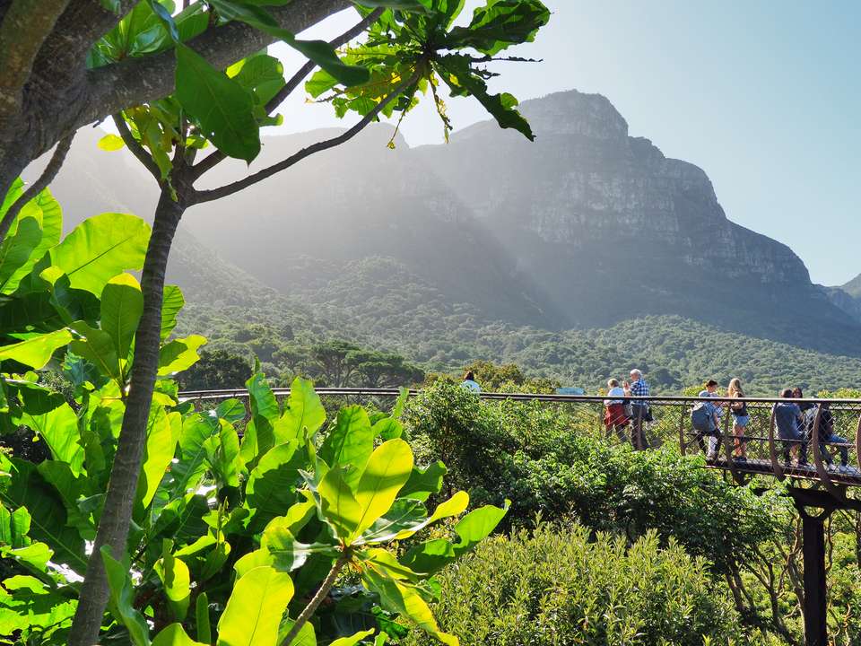 Highlights of South Africa's Winelands - undefined - Image 4