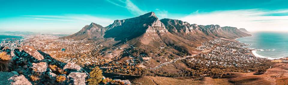 Highlights of South Africa's Winelands - undefined - Image 3