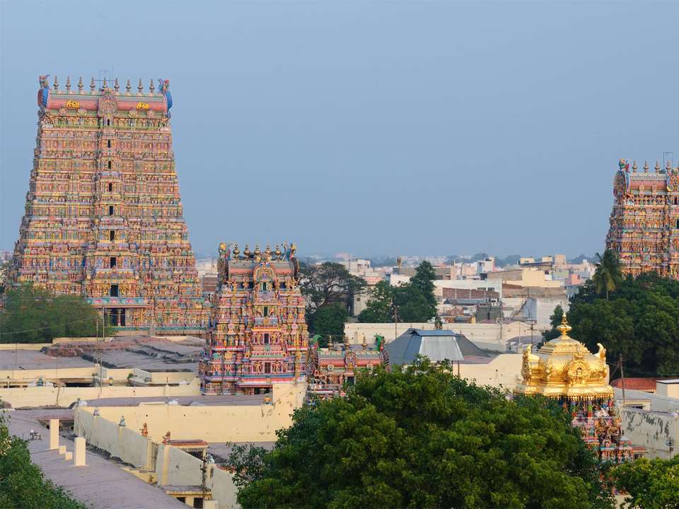 Highlights of South India (5 Star) - 12 days - On The Go Tours - India - Image 5