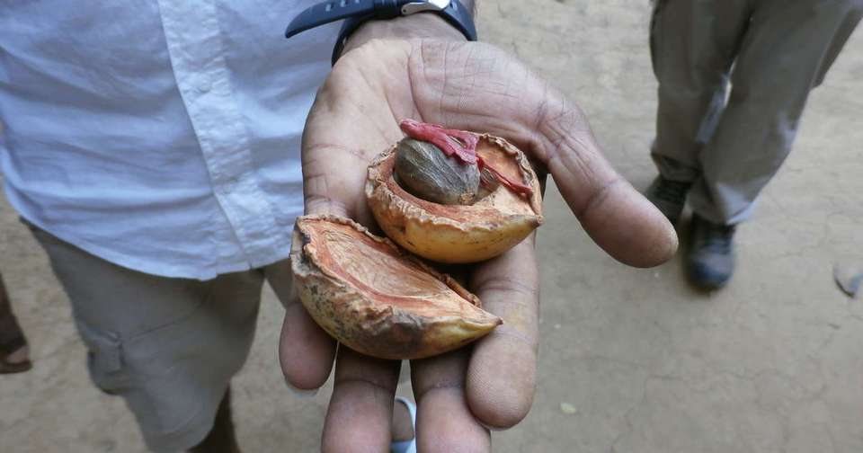 Highlights of Southern India - Explore - India - Image 17