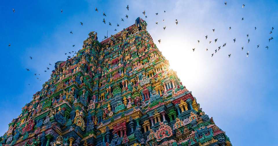 Highlights of Southern India - Explore - India - Image 14