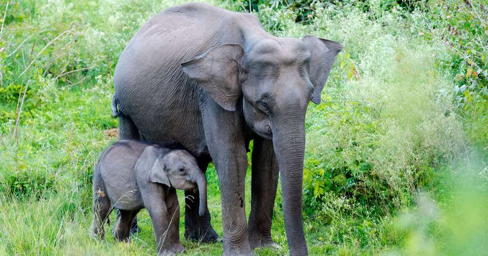 Highlights of Southern India - Explore - India - Image 5