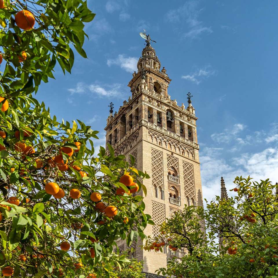 Highlights of Spain - Insight Vacations - Spain - Image 5