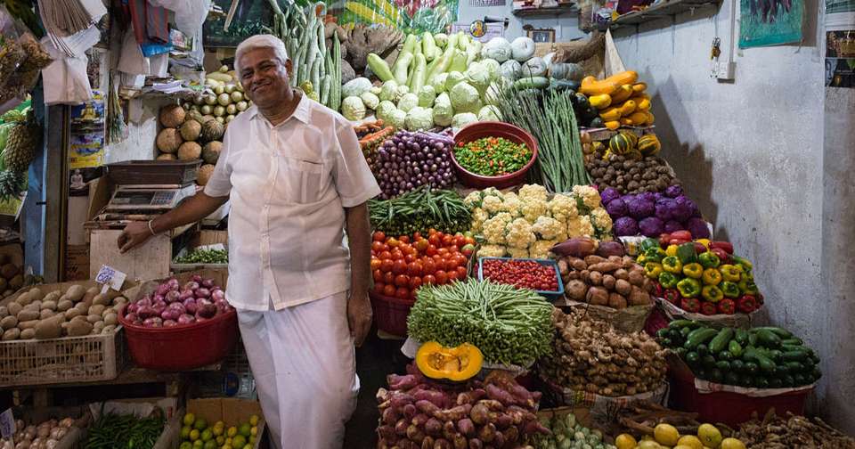 Highlights of Sri Lanka - Explore - Sri Lanka - Image 9