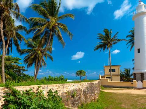 Active And Outdoor Tour: Highlights Of Sri Lanka