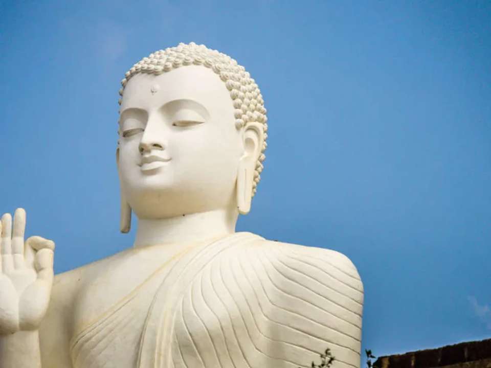 Highlights of Sri Lanka - undefined - Image 5