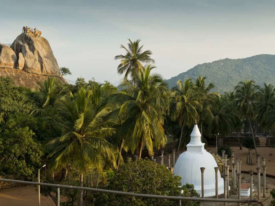 Highlights of Sri Lanka - undefined - Image 6
