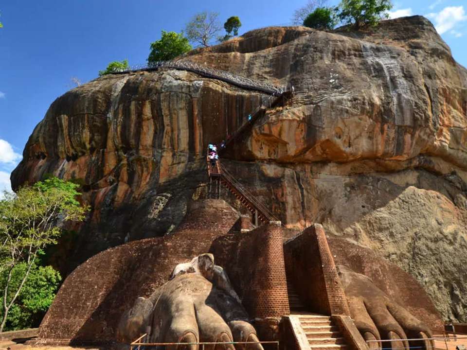 Highlights of Sri Lanka - undefined - Image 8