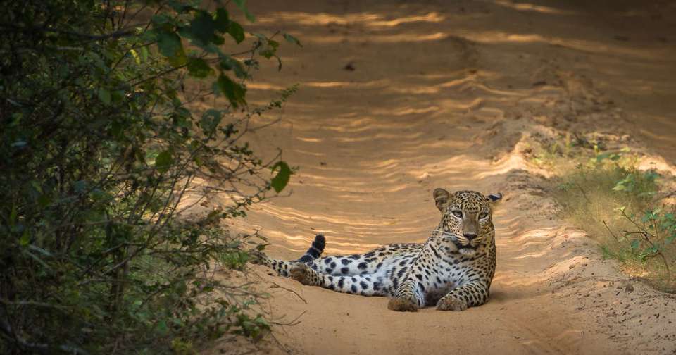 Highlights of Sri Lanka + Maldive Dhoni Cruise - Explore - Sri Lanka - Image 2