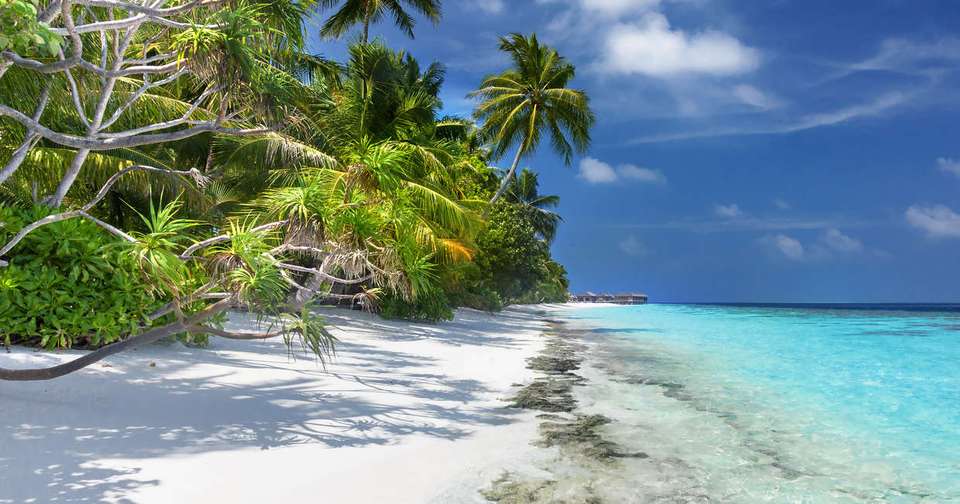 Highlights of Sri Lanka + Maldive Dhoni Cruise - Explore - Sri Lanka - Image 9