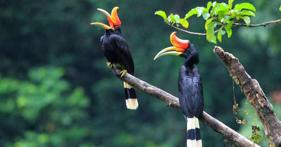 Highlights of Sumatra - Explore - Indonesia - Image 11