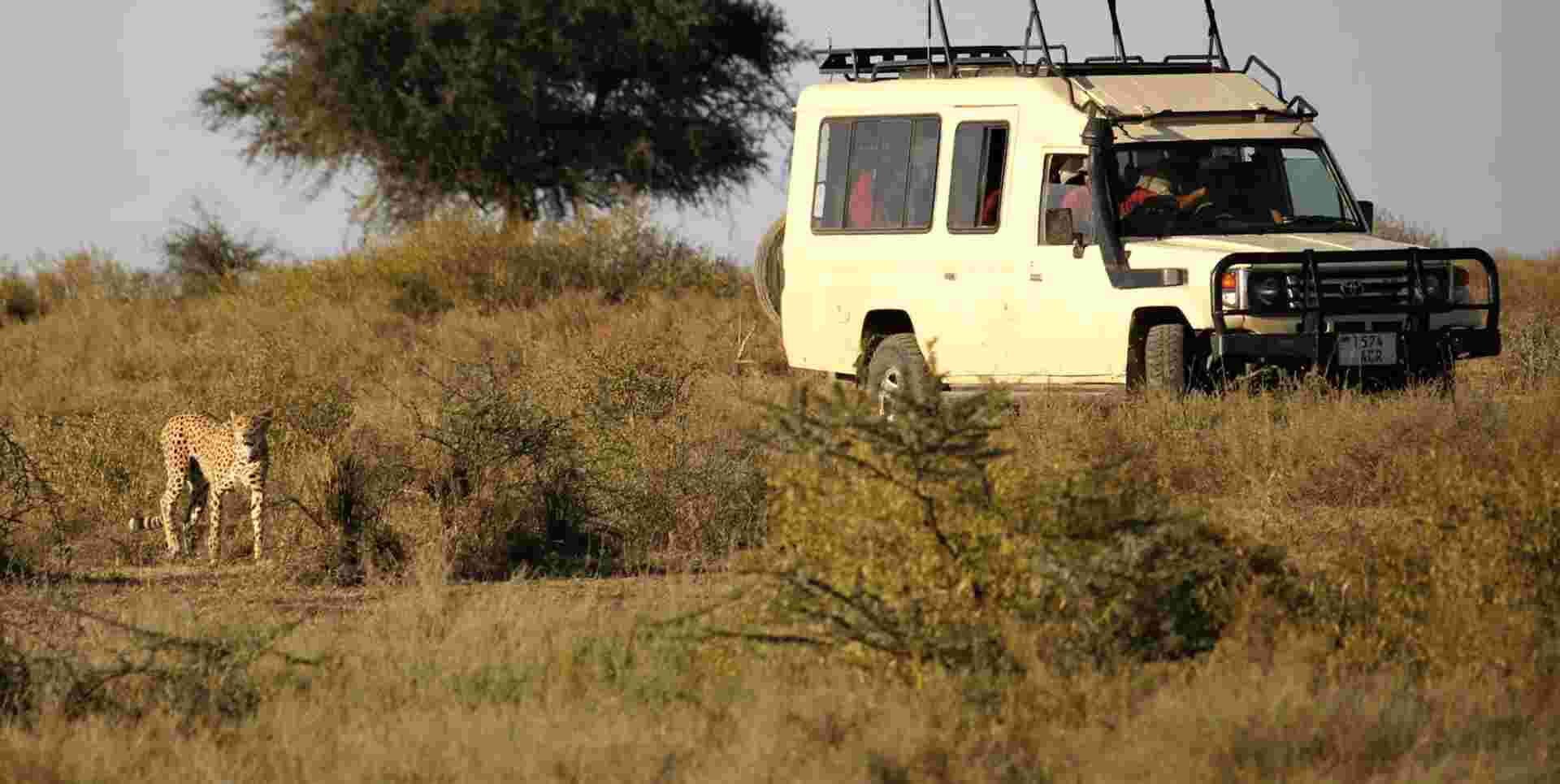 Highlights of Tanzania Safari 6D/5N (Tarangire, Serengeti & Ngorongoro)