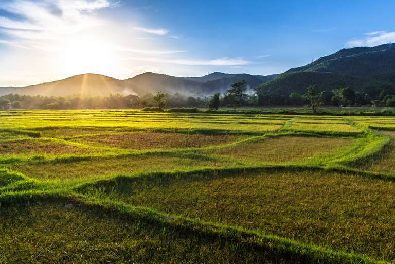 Highlights of Thailand - July 2027