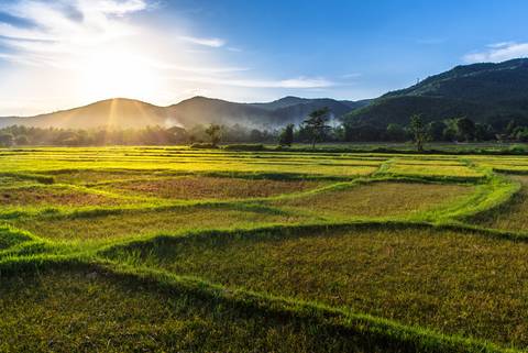 Asia Travel Deals: Highlights Of Thailand