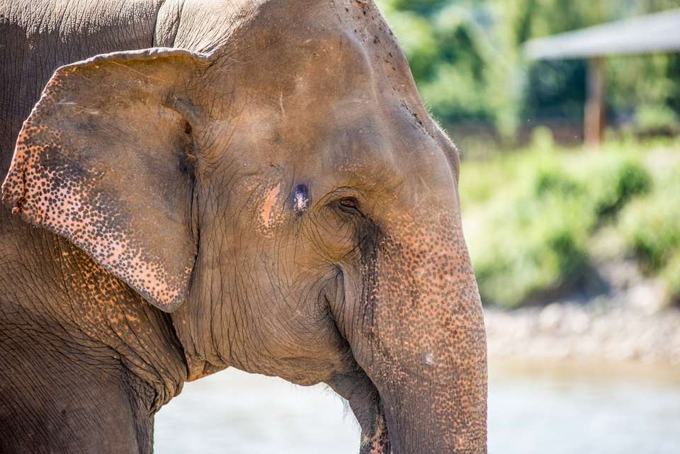 Highlights of Thailand - Intrepid Travel - Thailand - Image 6