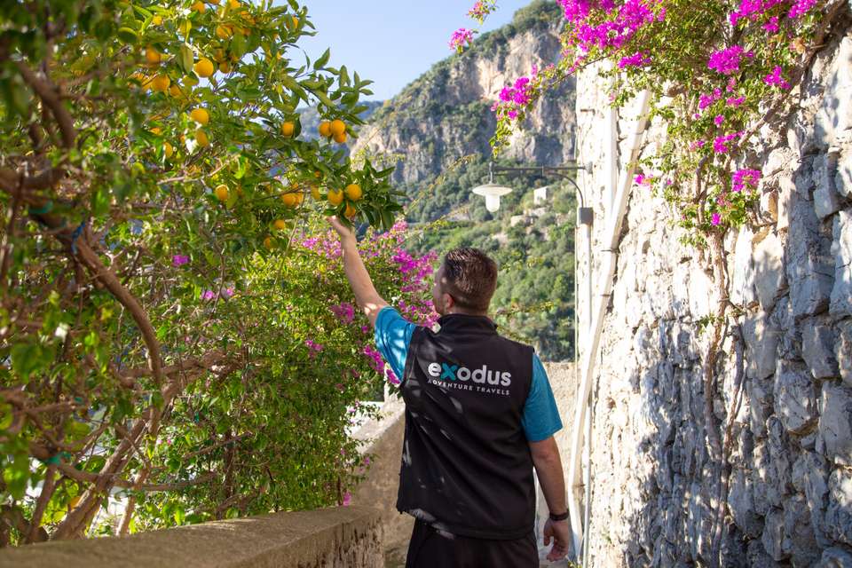 Highlights of the Amalfi Coast - Exodus Adventure Travels - Italy - Image 15