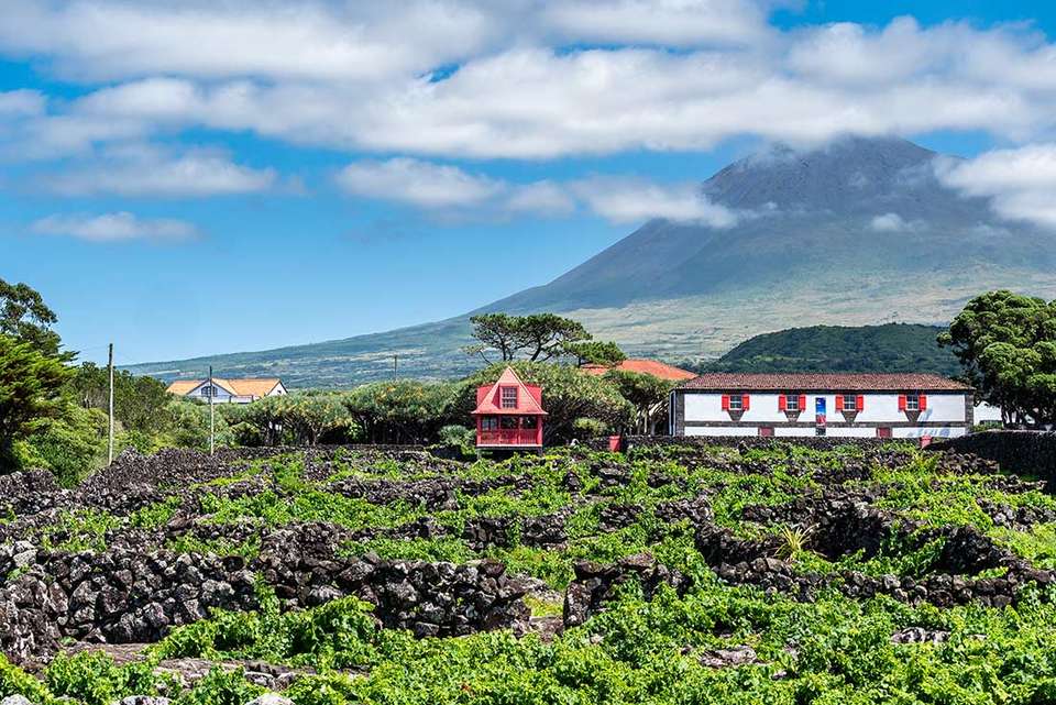 Highlights of the Azores - Intrepid Travel - Portugal - Image 2