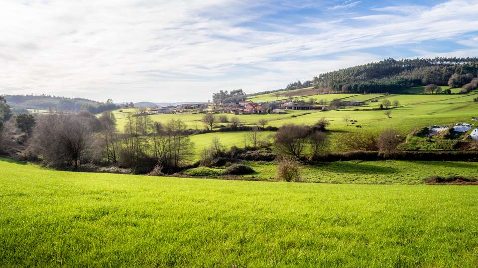 Highlights of the Camino de Santiago Walk - Exodus Adventure Travels - Spain - Image 4