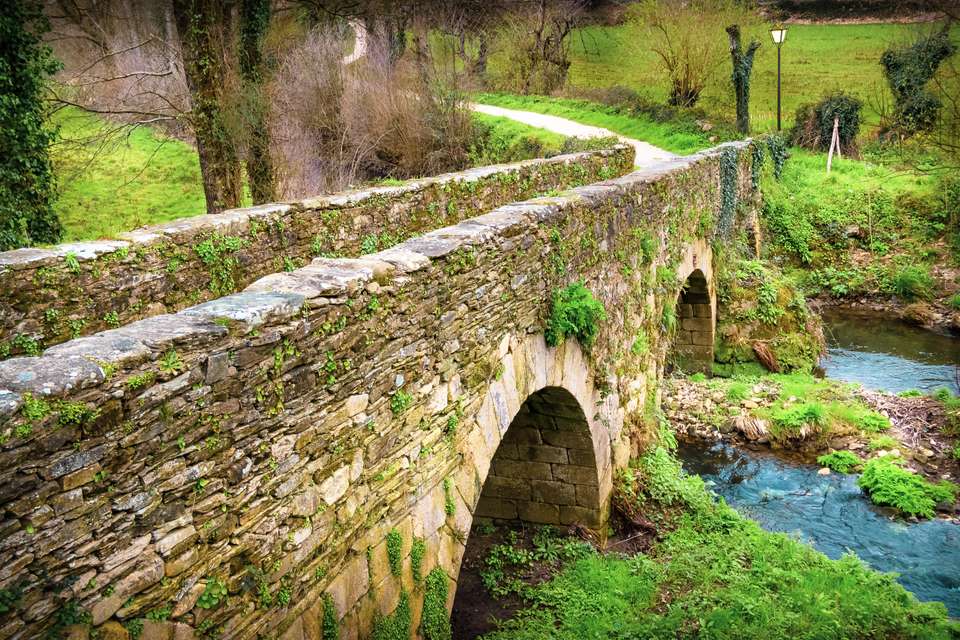 Highlights of the Camino de Santiago Walk - Exodus Adventure Travels - Spain - Image 7