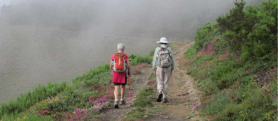 Highlights of the Camino Primitivo - Utracks - Spain - Image 5