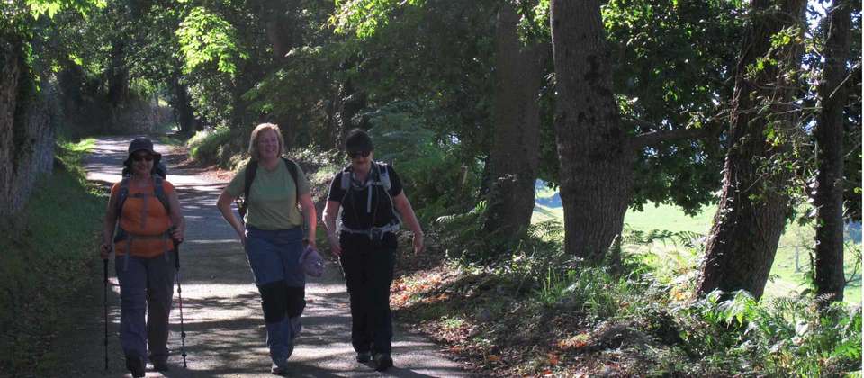 Highlights of the Camino Primitivo - Utracks - Spain - Image 8