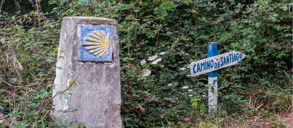 Highlights of the Camino Primitivo - Utracks - Spain - Image 9