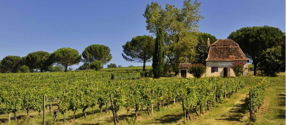 Highlights of the Dordogne by Bike - Utracks - France - Image 2