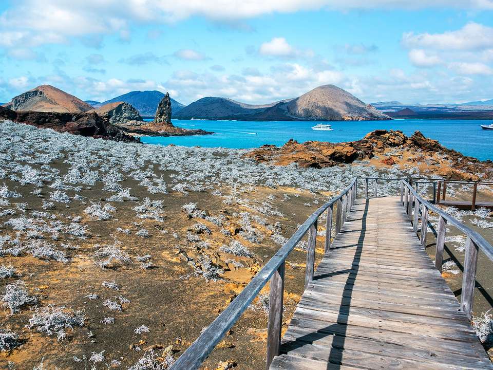 Highlights of the Galapagos - 14 days - On The Go Tours - Ecuador - Image 7