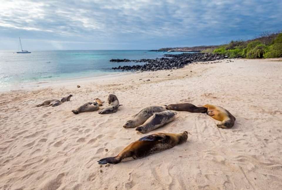 Highlights of the Galapagos - 14 days - On The Go Tours - Ecuador - Image 10
