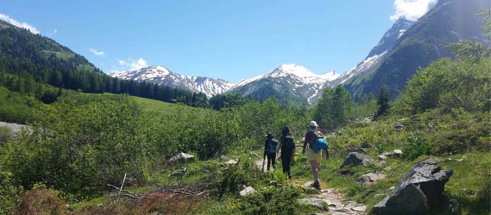 Highlights of the Tour du Mont Blanc in Comfort - undefined - Image 9