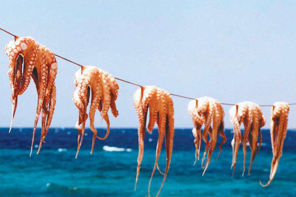 Highlights of Turkey & the Greek Islands - Intrepid Travel - Turkey - Image 8