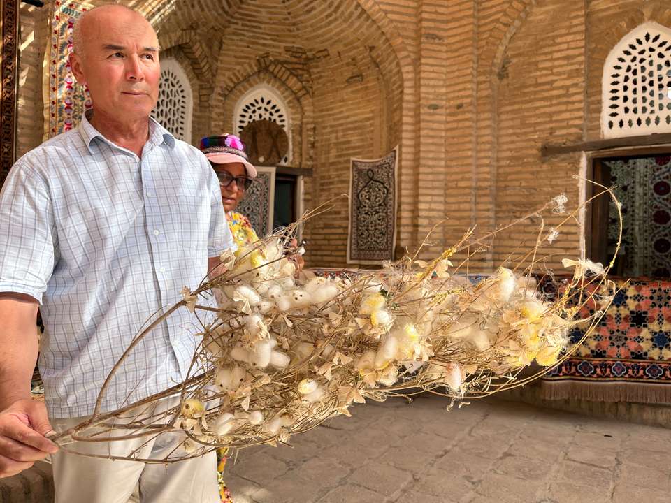 Highlights of Uzbekistan - undefined - Image 18