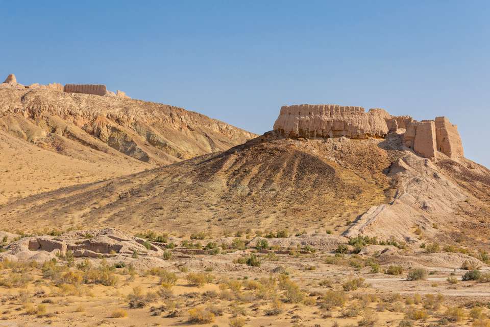 Highlights of Uzbekistan - undefined - Image 12
