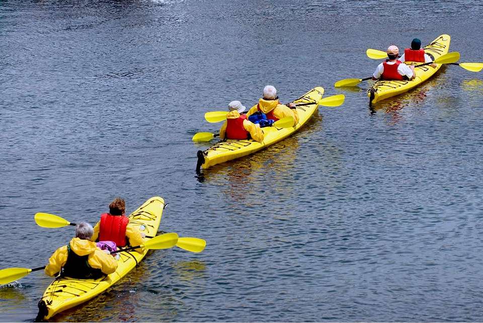 Hike & Kayak Maine's Acadia National Park - undefined - Image 5