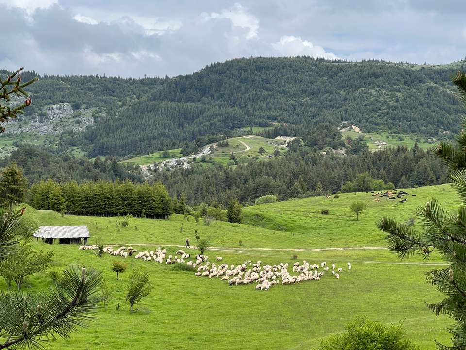 Hike Bulgaria's Rodopi Mountains - Exodus Adventure Travels - Bulgaria