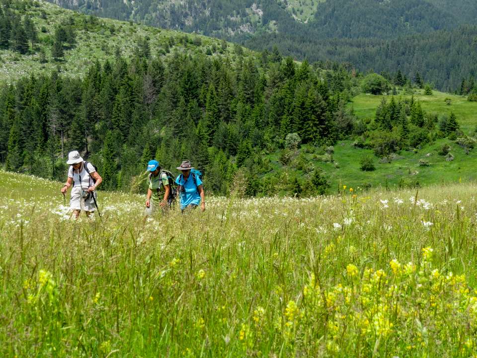 Hike Bulgaria's Rodopi Mountains - Exodus Adventure Travels - Bulgaria