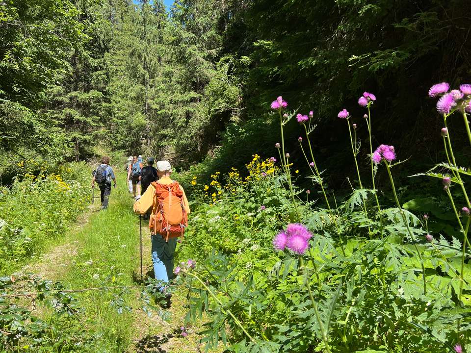 Hike Bulgaria's Rodopi Mountains - Exodus Adventure Travels - Bulgaria