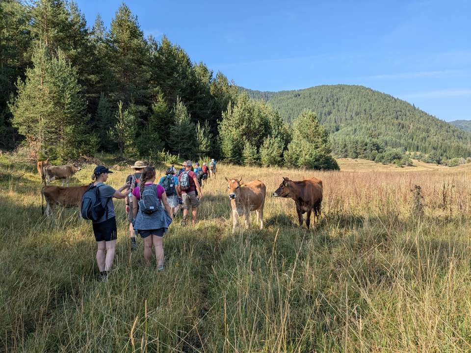 Hike Bulgaria's Rodopi Mountains - Exodus Adventure Travels - Bulgaria
