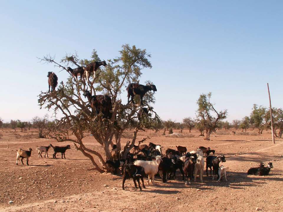 Image 10 of 14