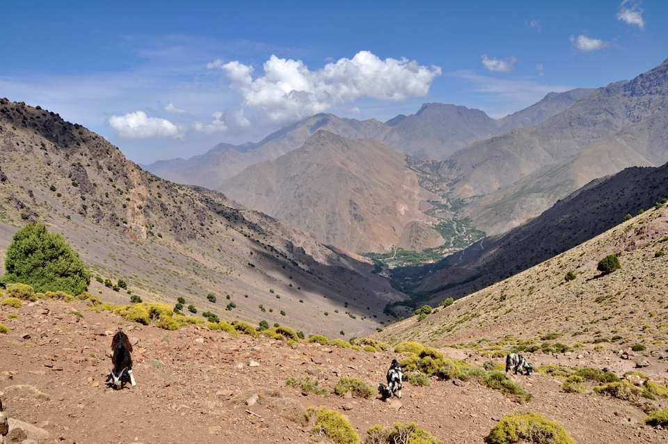 Hike Morocco's Atlas Mountains - Exodus Adventure Travels - Morocco